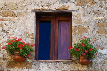 House window with flowers
