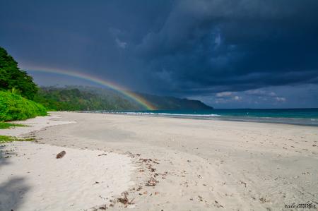 Hues of Radhanagar beach