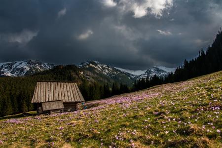 Hut on the Mountain