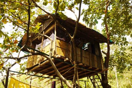 Hut with Trees