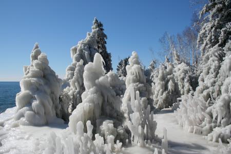 Ice covered trees