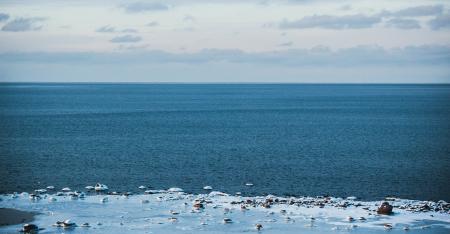 Ice Covered Shore