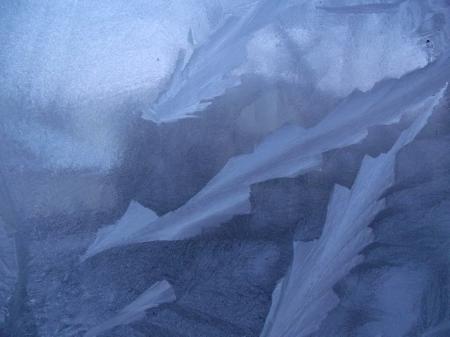 Ice flower on the window