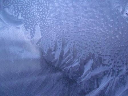 Ice flower on the window
