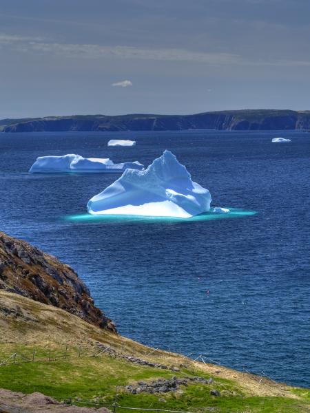 Iceberg