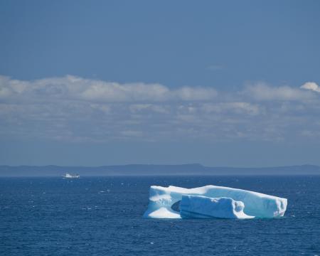 Iceberg