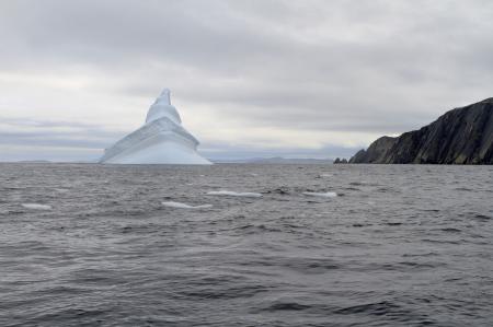 Iceberg
