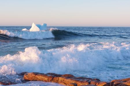 Icebergs along the coast