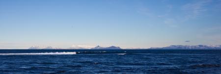 Icelandic Landscape