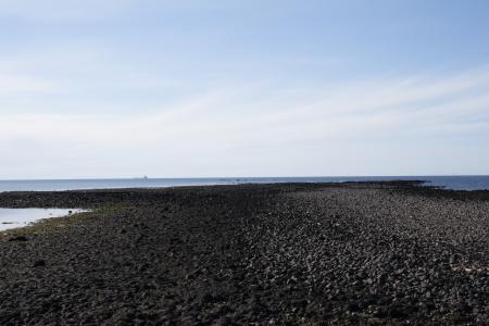 Icelandic shore