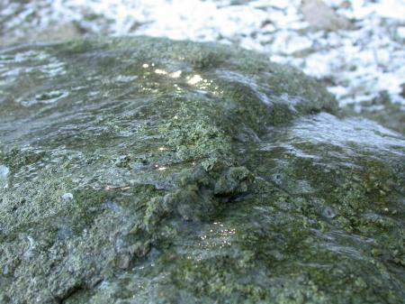 Icy cliff