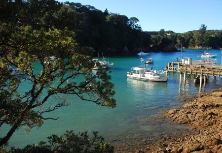 Idyllic Harbor