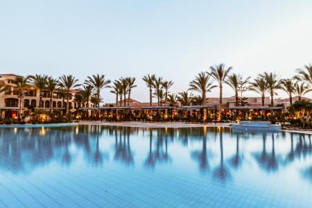 In-ground Swimming Pool Near Palm Trees