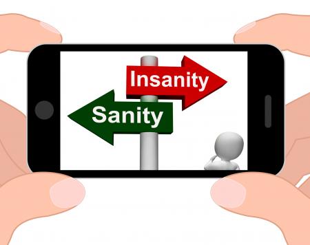 Insanity Sanity Signpost Displays Sane Or Insane