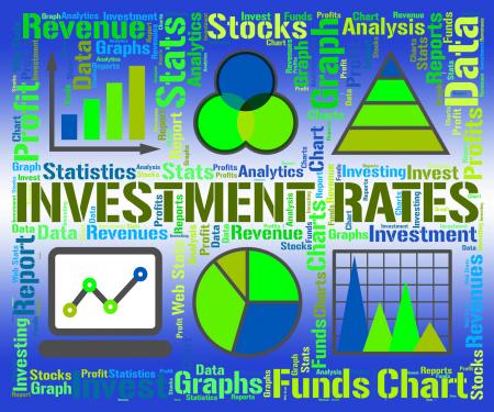 Investment Rates Represents Invested Percent And Percentage