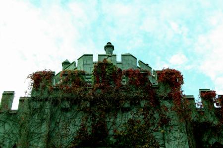 Ivy covered castle wall
