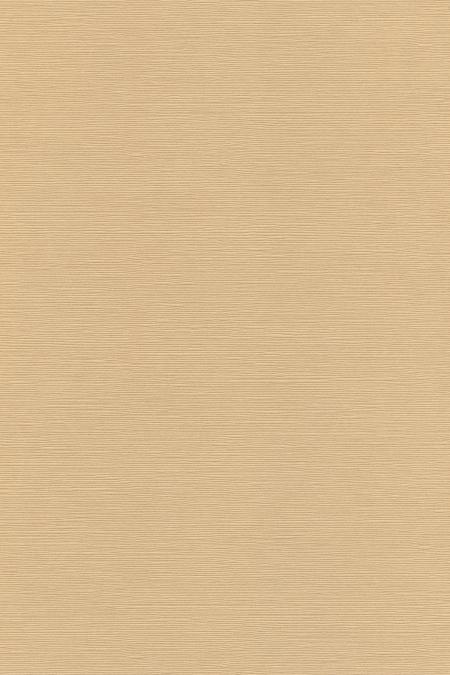 Japanese Linen Paper - Beige