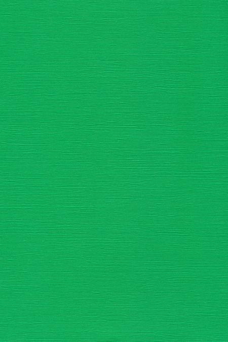 Japanese Linen Paper - Green