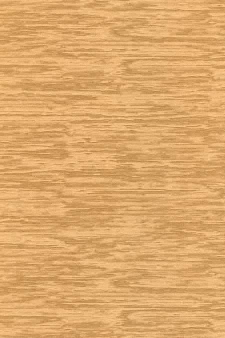 Japanese Linen Paper - Tan Beige