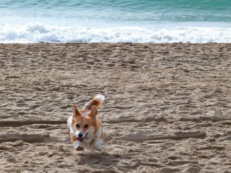 Just another beach day with Sun