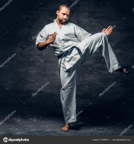 Karate Fighter