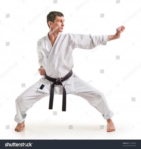 Karate Fighter Posing