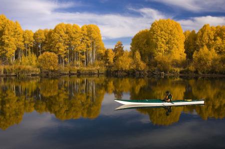 Kayaking in the River