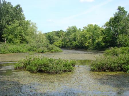 Kessler Swamp State Nature Preserve