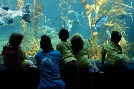 Kids near aquarium
