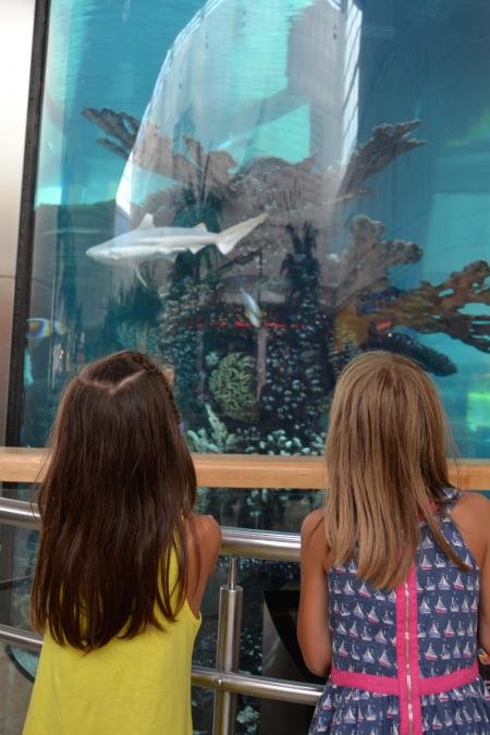 Kids near aquarium