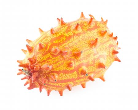 Kiwano melon