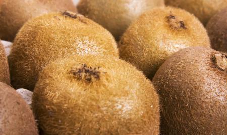 Kiwi