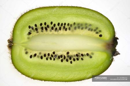 Kiwi Closeup