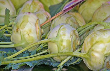 Kohlrabi