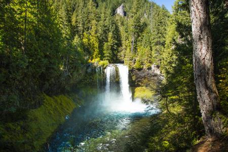 Koosah Falls, Oregon, October