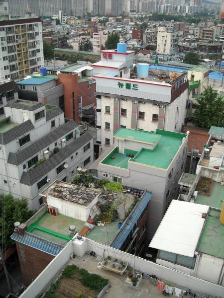 Korean Roof Top