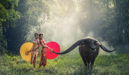 Ladies with the Cow