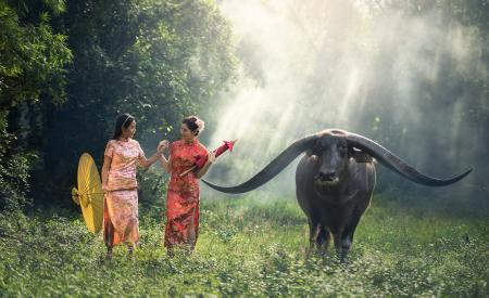 Ladies with Wild Buffalo