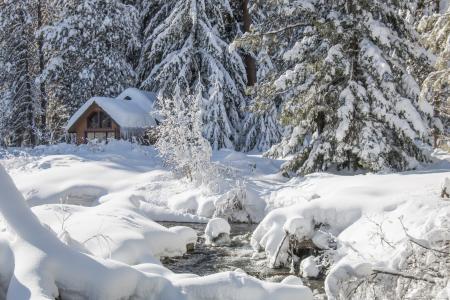 Lake Creek, Oregon, Sun on Snow