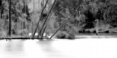 Lake in Bicentennial Park