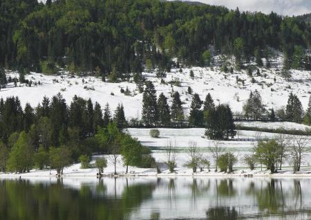 Lake in Winter