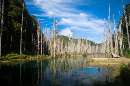 Lake Photo during Daytime