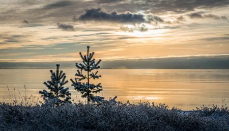 Lake View during Sunset Photo