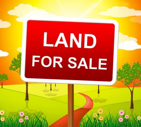 Land For Sale Represents Real Estate Agent And Purchase