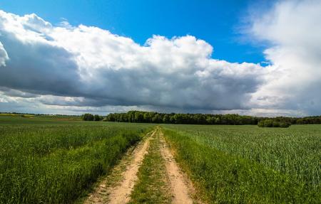 Landscape in Blumberg