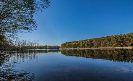 Landscape in Brandenburg