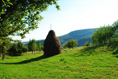 Landscape made in Transilvania