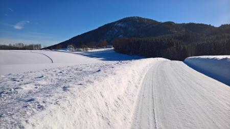 Landscape of Field Covered With Snow