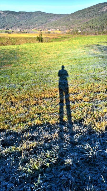 Landscape Photo of Green Grass Field