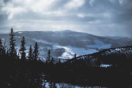 Landscape Photo of Mountains